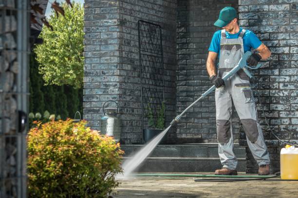 Best Rust Removal  in Summersville, WV